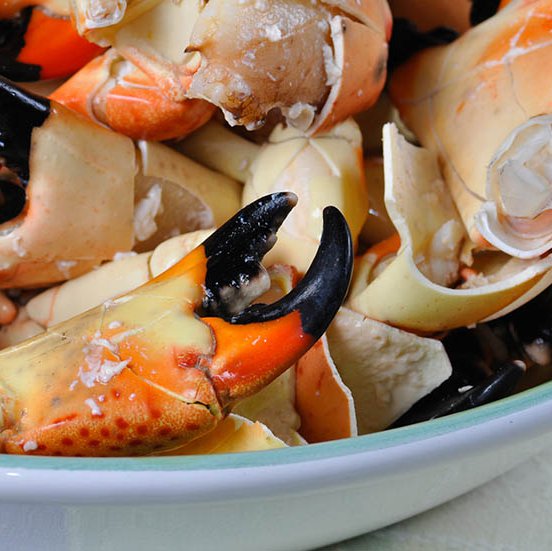 6 Ways To Tap Into The Elixir of Life on Florida's Paradise Coast